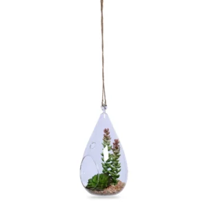 Hanging terrarium