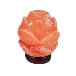 Salt Lamp